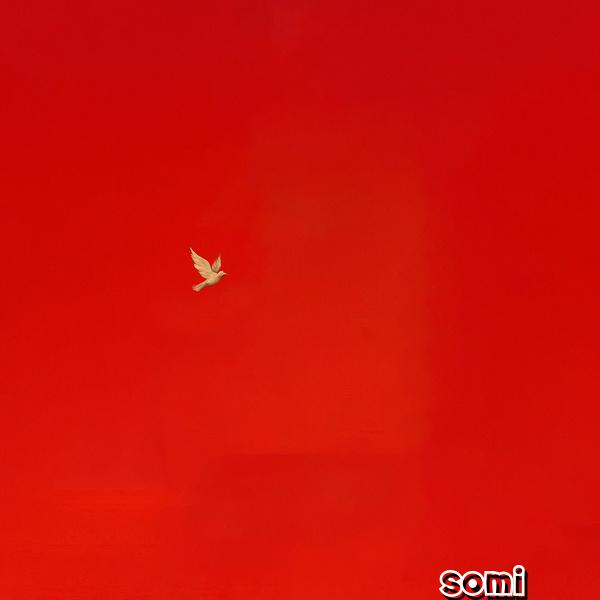 Image Cover